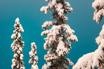 Moraine Lake, Alberta with Snow