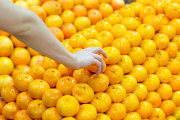 Person's hand choosing orange fruit from a large pile at the grocery supermarket stall.