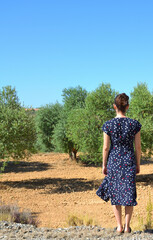 Young Woman Wearing a Blue Dress on a Olive Tree Fields