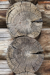 Old logs with round pattern, photo texture