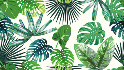 A high resolution 4k green leaves tropical, botanical seamless exotic wallpaper on white background. Sale summer, autumn, spring pattern.