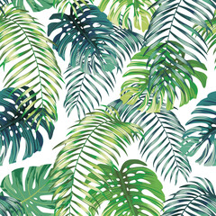 Botanical green seamless pattern leaves Fern and Monstera on white background. Exotic wallpaper design - 376430396