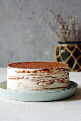 Crepe cake made of thin Crepe with butter cream, cocoa, chocolate,freeze-dried strawberries. Delicious dessert from French crepes. Tiramisu cake made of thin pancakes.
