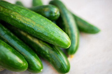 Raw Organic Cucumbers harvest Ready to Eat