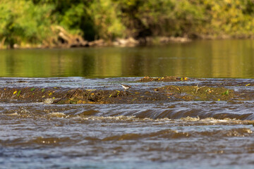 The river in a deep valley