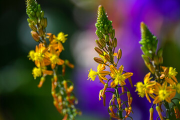 Fotografisches Allerlei aus dem Garten, der Tierwelt und der von Reisen