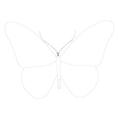 Contour of a butterfly from black lines isolated on a white background. Vector illustration
