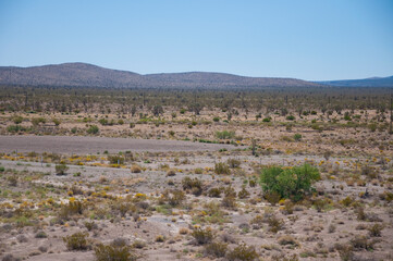 バーストゥ・フリーウェイ