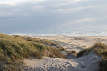 Fototapeta na wymiar Strand auf Texel, Ozean