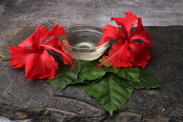 Jaswand or Hibiscus oil over black background.