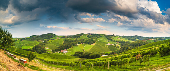 Vineyard panorama on an Austrian countryside, Styrian Tuscany