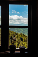 Fototapeta premium view from window