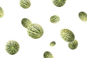 Striped melon on a white background. The unusual coloring of the melon. High quality photo