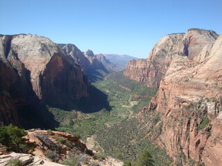 Naklejka premium Zion National Park