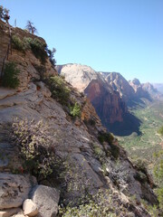 Zion National Park