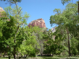Zion National Park