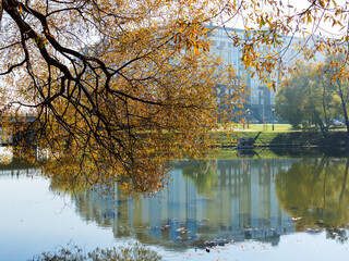 Obraz premium Authentic autumn landscape pond in city park. Yellow leaves fall to ground and into the water. Colorful autumn landscapes with warm colors and footpath covered with sheets. People relaxing in park