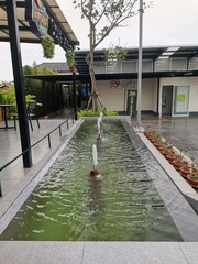young woman in the pool