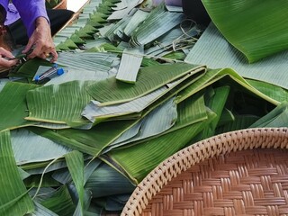 banana leaf