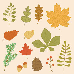 Obraz premium Autumn leaves collection.Vector illustration of autumn leaf collection with flat design.
