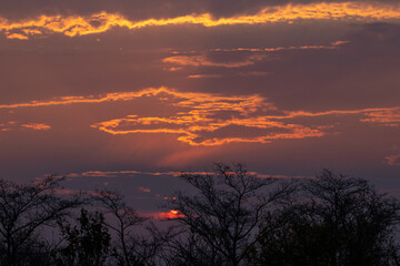 Sunrise over the African Plains