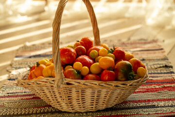 organic tomatoes of different colors in a basket
