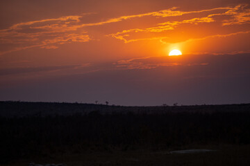 Fototapeta premium Sunset over the African Plains