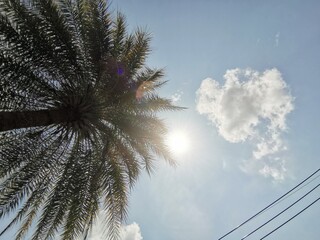 power lines in the sky