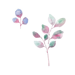 Paint of watercolor leave on background. Paint watercolor texture. Botanical art. Use for design invitations, birthdays, weddings.