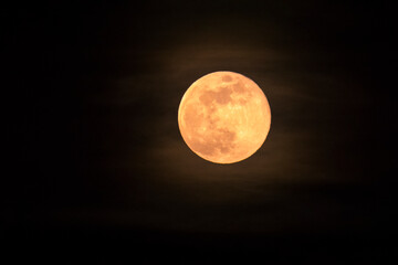 Italy Tuscany Castiglione della Pescaia, pink full moon night, panoramic night picture © Roberto