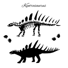 Kentrosaurus silhouette,footprints and skeleton dinosaur vector illustration isolated on white.