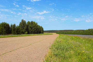 Nice view of the road, field and forest. Chicory flowers. Background. Landscape.