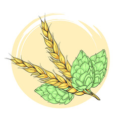 Wheat and hop illustration