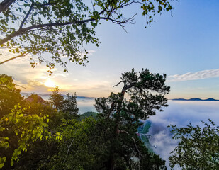 Sonnenaufgang im Nebel in Sachsen