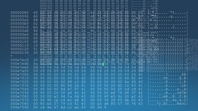 Multiple lines of computer code repeating across screen in real-time against a blue gradient background - seamless looping.