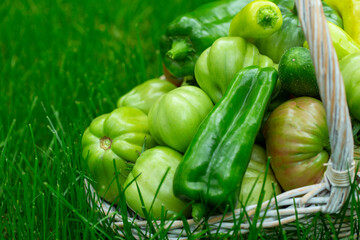 organic green vegetables in a basket on the grass