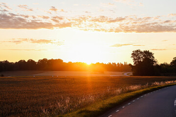 sunrise over the road