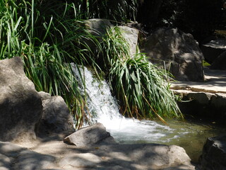 Waterfall in the forest