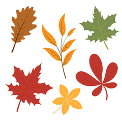 Fototapeta premium Set of autumn fall leaves, cartoon vector illustration