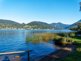 Bad Wiessee in Upper Bavaria in Germany. Reed bed by the lake of Tegernsee along the promenade
