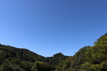 日本の山を散歩中に撮影