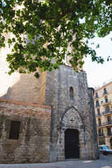 Fototapeta na wymiar The cathedral of Saint Eulalia in Barcelona, Spain