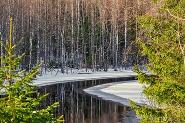 beautiful landscape closeup in the forest with river, trees and snow