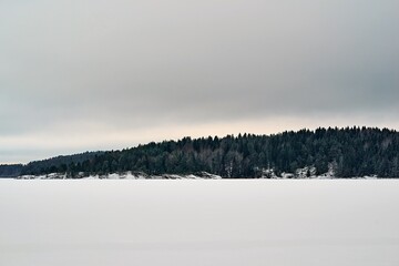 winter landscape with white snow in a field or on a large lake and with forest on the horizon