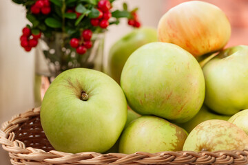 Pile of ripe apples in wicker basket  and bunch of wild cowberries twigs with red berries