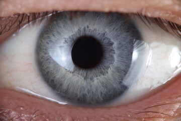 Open super macro enlargement of eyes looking at camera. Personality identification retinal scan concept.