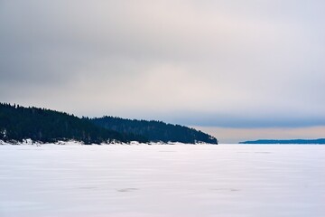 winter landscape with gray sky and white snow on a large lake or in a clear field and with forest on a hilly horizon
