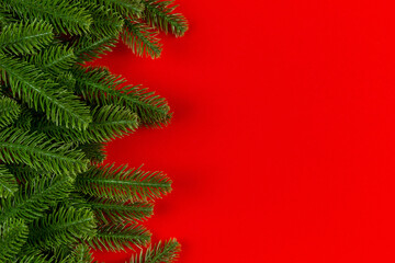 Top view of colorful background made of green fir tree branches. New year holiday concept with copy space