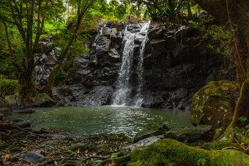 Fototapeta na wymiar Waterfall landscape. Beautiful hidden waterfall in tropical rainforest. Nature background. Fast shutter speed. Sing Sing Angin waterfall, Bali, Indonesia