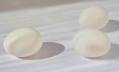 White chicken eggs on a light background.